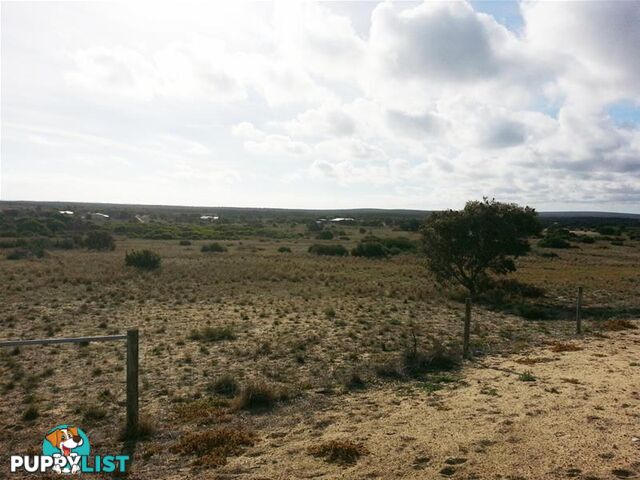 264 264 (L264) Zendora Road Jurien Bay WA 6516