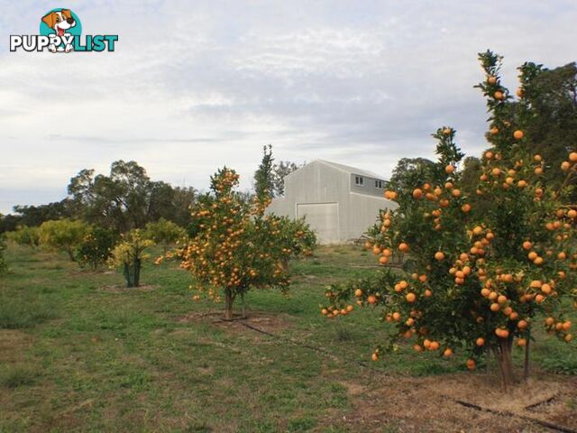 Lot 2 Cantabilling Road Jurien Bay WA 6516