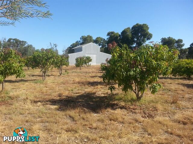 Lot 2 Cantabilling Road Jurien Bay WA 6516