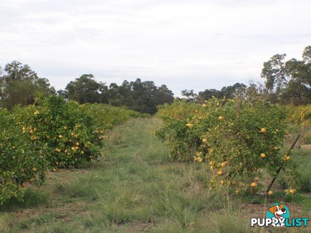 Lot 2 Cantabilling Road Jurien Bay WA 6516