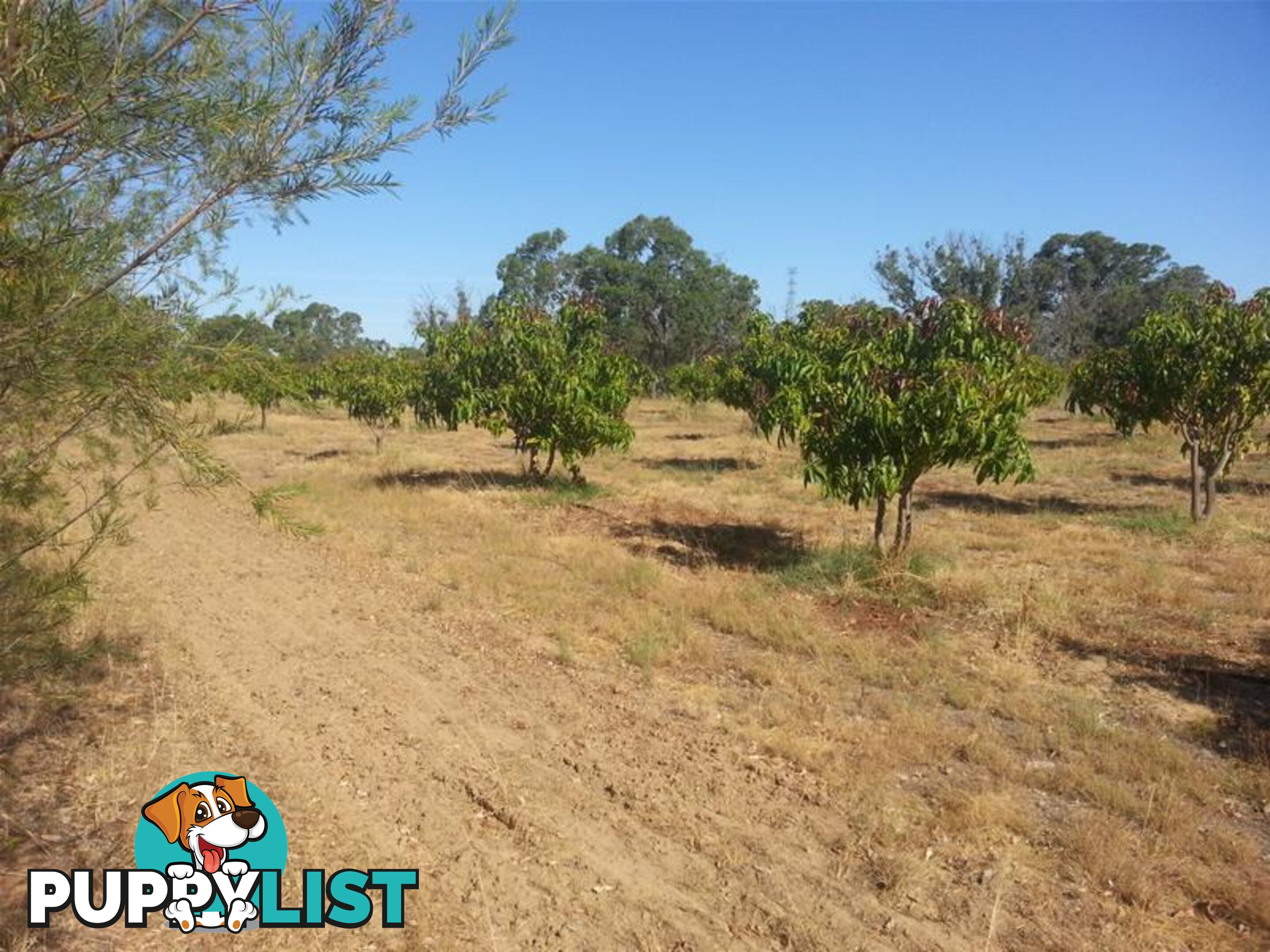 Lot 2 Cantabilling Road Jurien Bay WA 6516