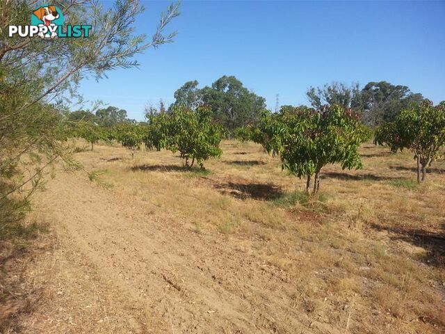 Lot 2 Cantabilling Road Jurien Bay WA 6516