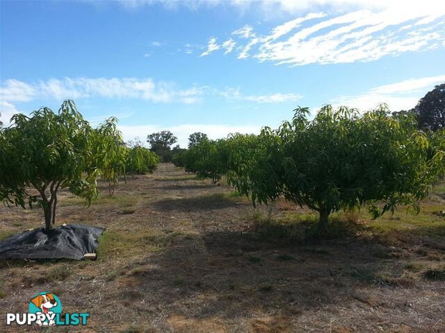 Lot 2 Cantabilling Road Jurien Bay WA 6516