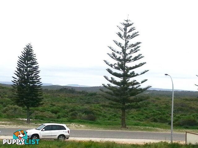 8 Seaward Drive Jurien Bay WA 6516