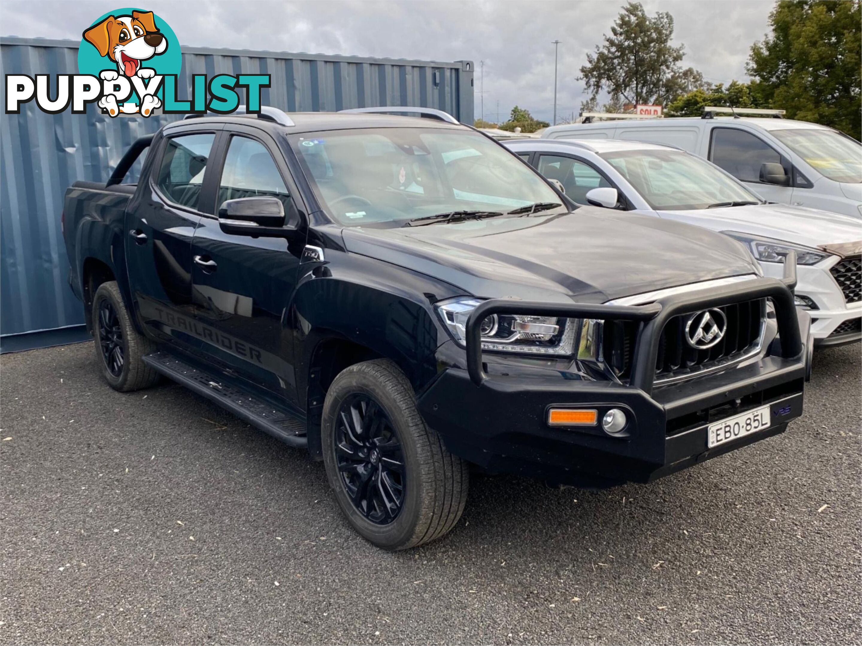 2019 LDV T60 SK8C TRAILRIDER UTILITY