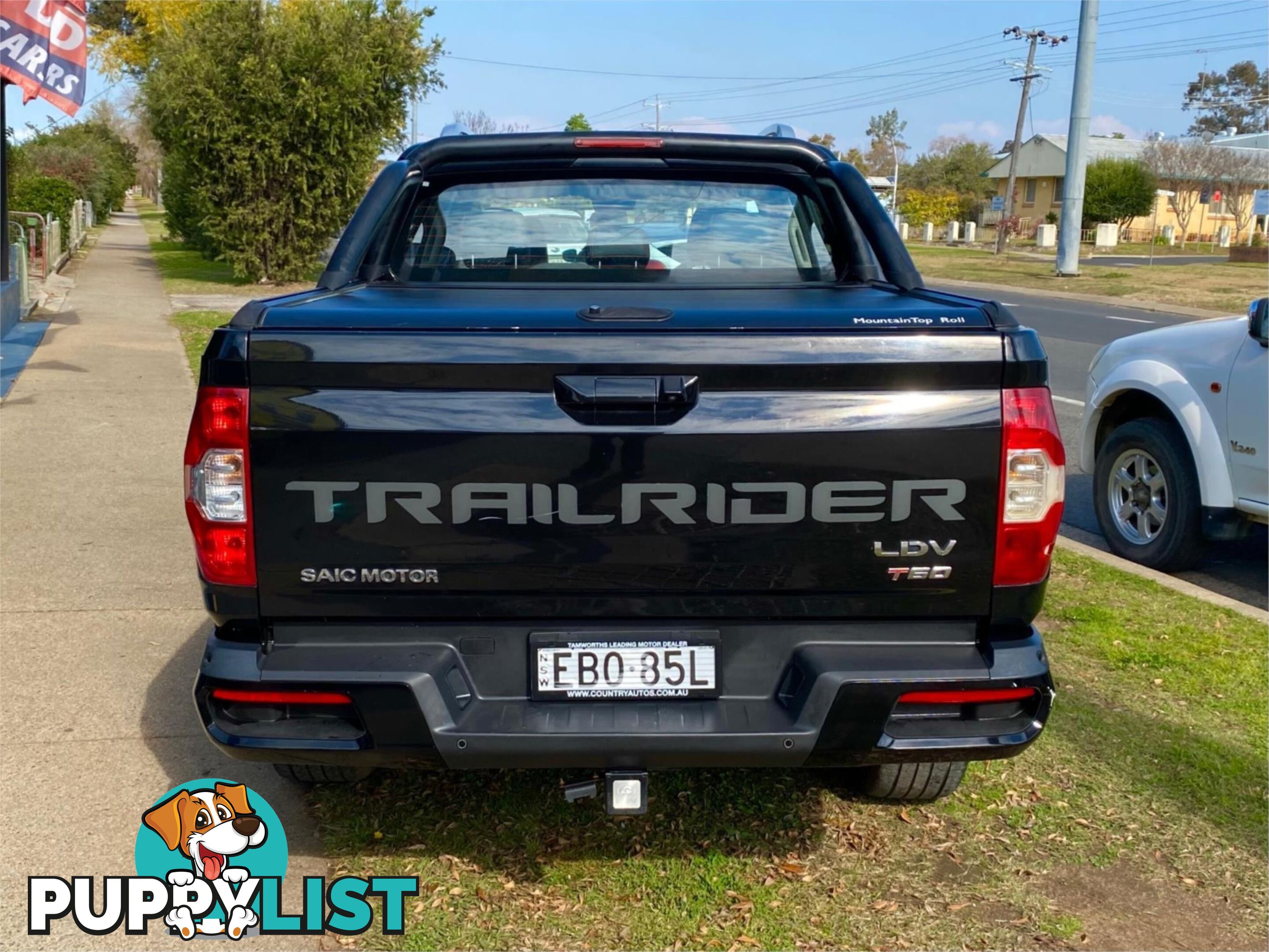 2019 LDV T60 SK8C TRAILRIDER UTILITY
