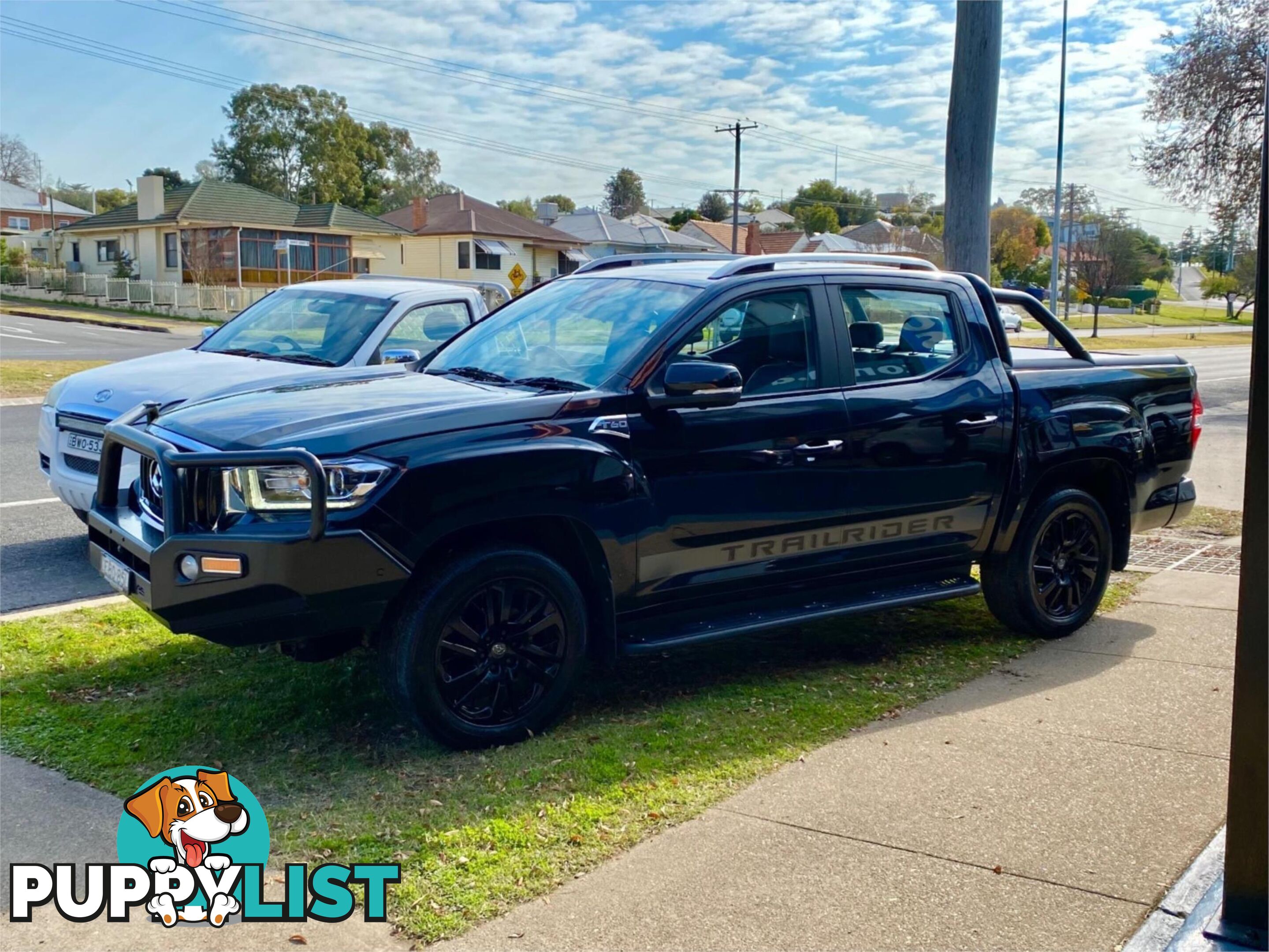 2019 LDV T60 SK8C TRAILRIDER UTILITY