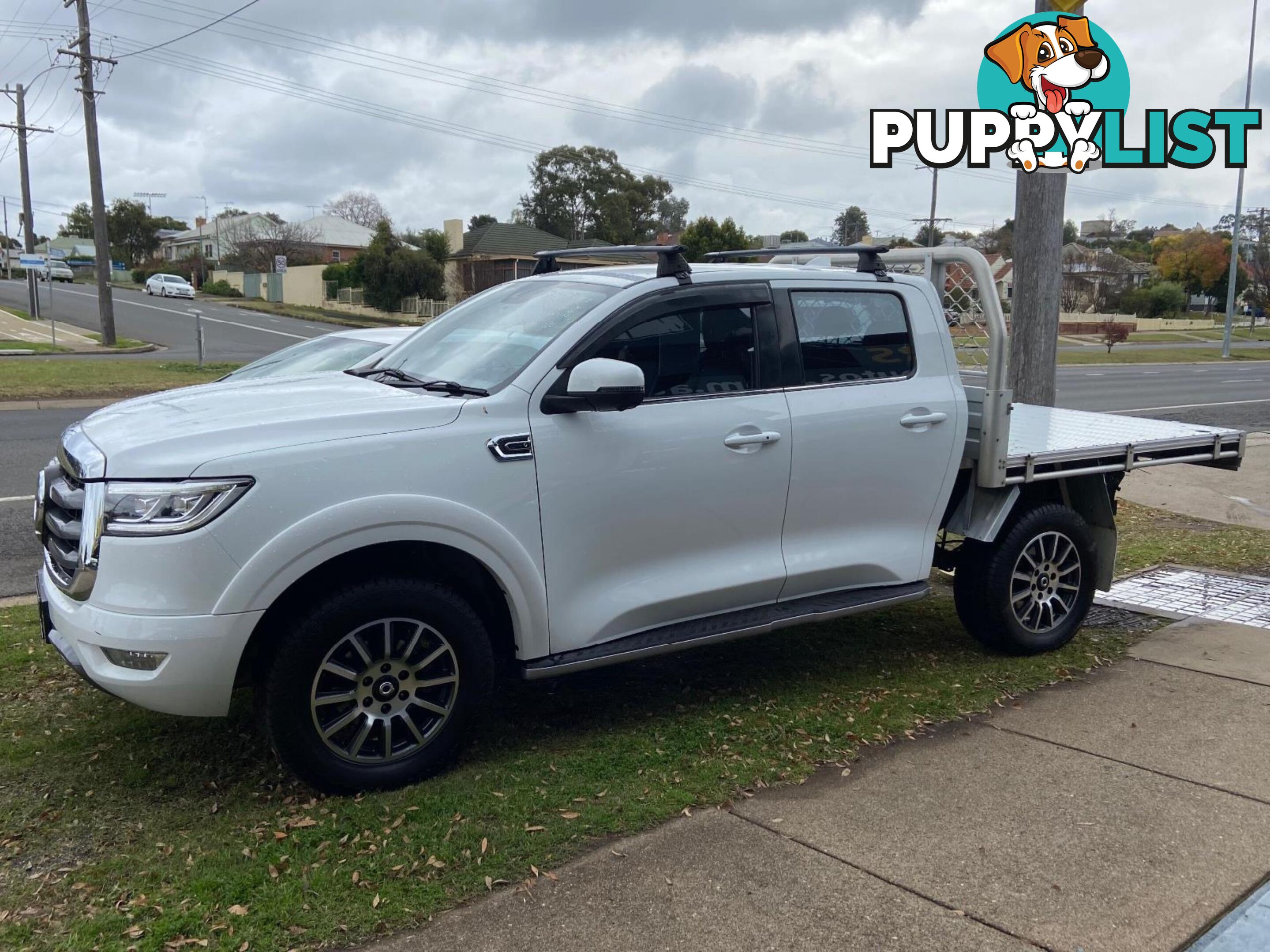 2021 GWM UTE NPW CANNON UTILITY