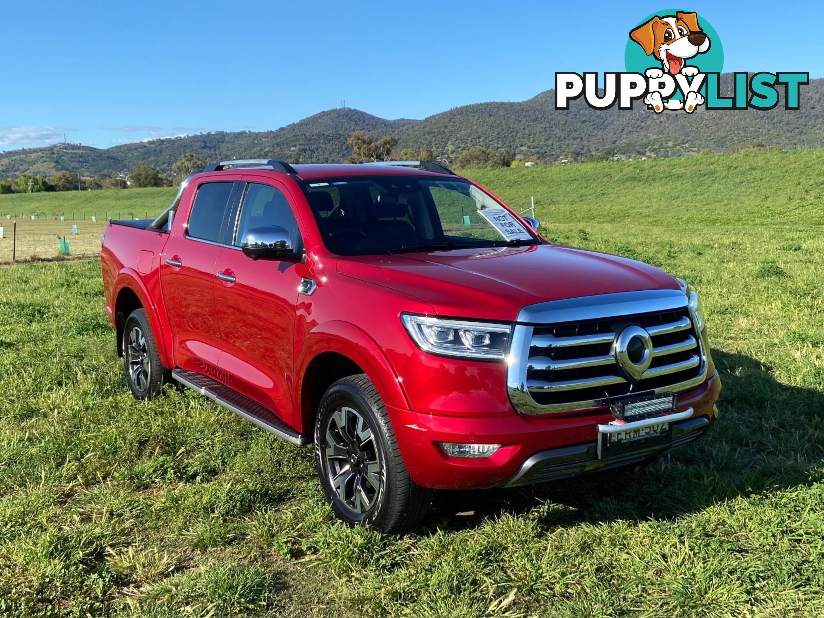 2022 GWM UTE NPW CANNON-L UTILITY