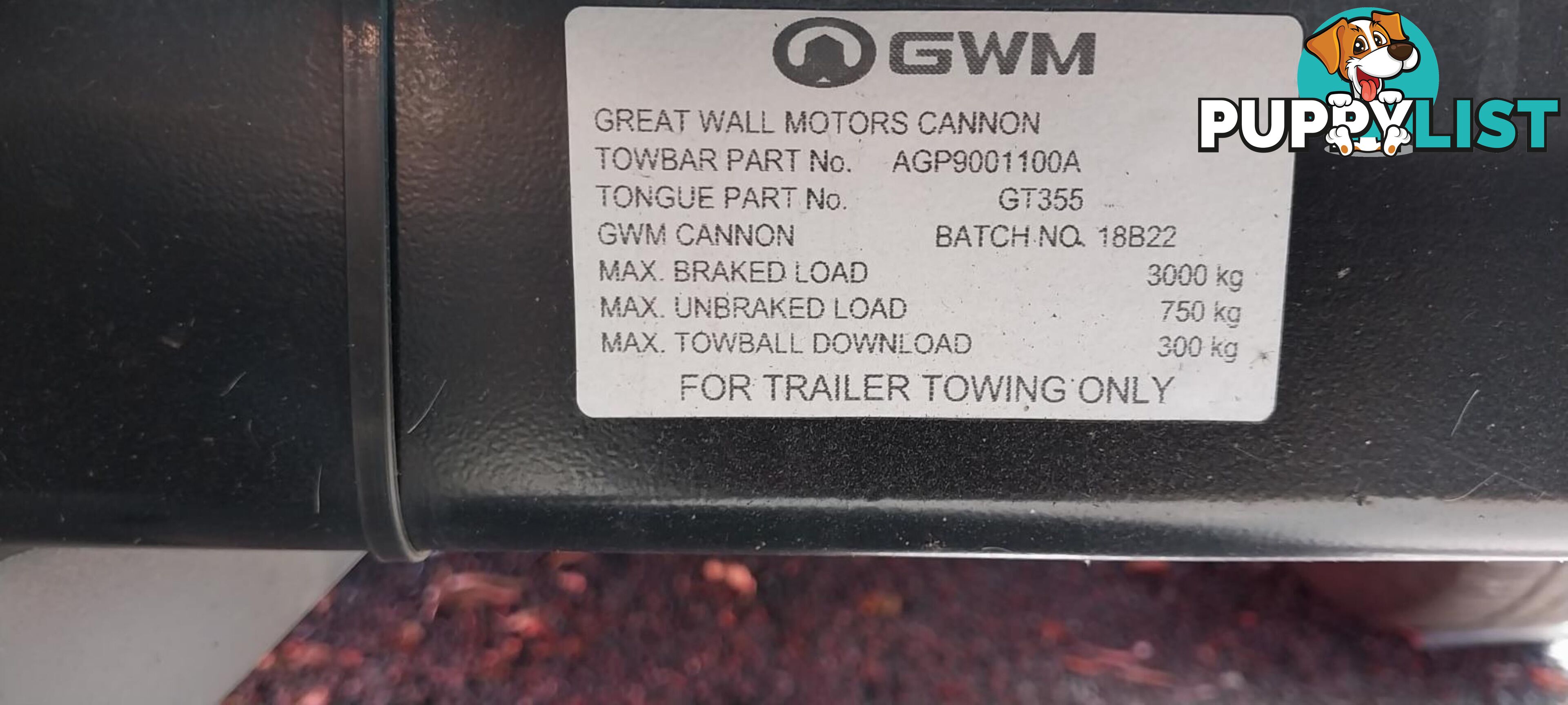 2022 GWM UTE NPW CANNON-L UTILITY