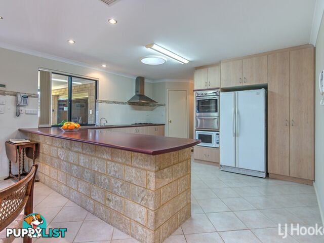 5 Orchid Pass THORNLIE WA 6108