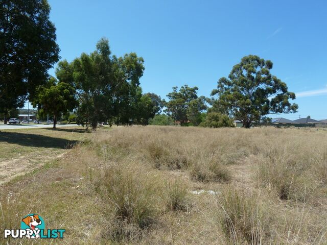 Lot 801 Gillam Drive SEVILLE GROVE WA 6112