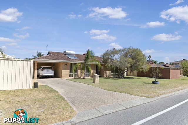 43 Eudoria Street GOSNELLS WA 6110