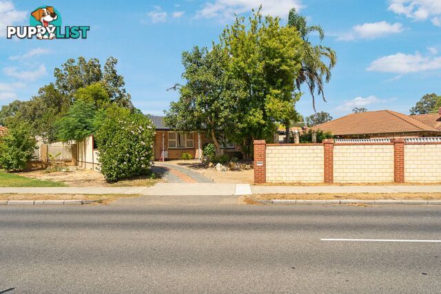 24 Fremantle Road GOSNELLS WA 6110