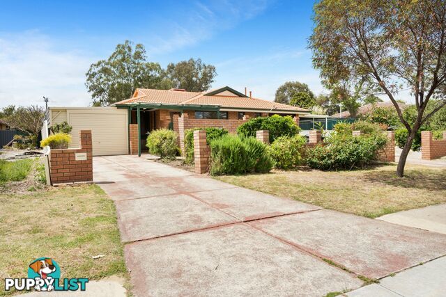 66 Hilton Crescent MADDINGTON WA 6109