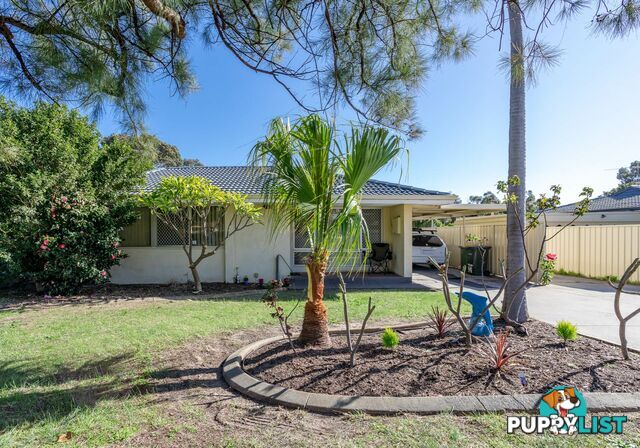 9 Kyabram Road ARMADALE WA 6112