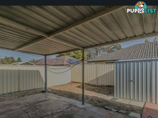 9 Kyabram Road ARMADALE WA 6112