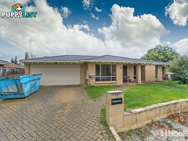 14 Dampier Court THORNLIE WA 6108