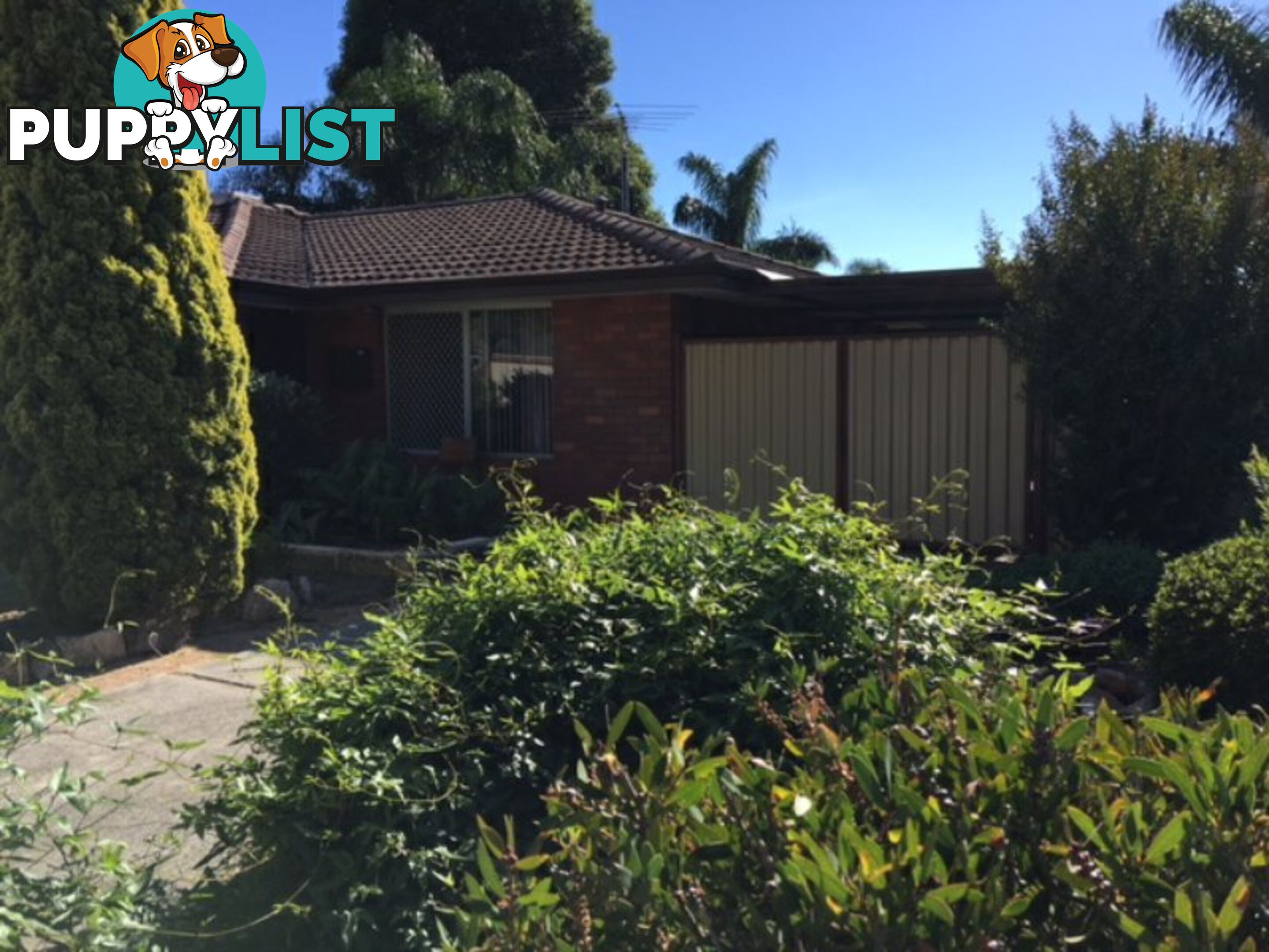 33B Tambulam Way ARMADALE WA 6112