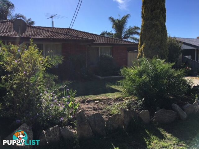 33B Tambulam Way ARMADALE WA 6112