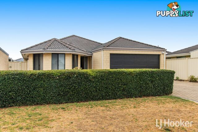 37 Chamberlain Street GOSNELLS WA 6110