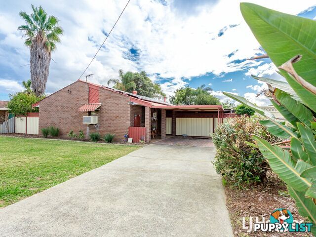 24 Hargrave Drive THORNLIE WA 6108