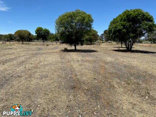 Lot 451 Vincent Street BEVERLEY WA 6304