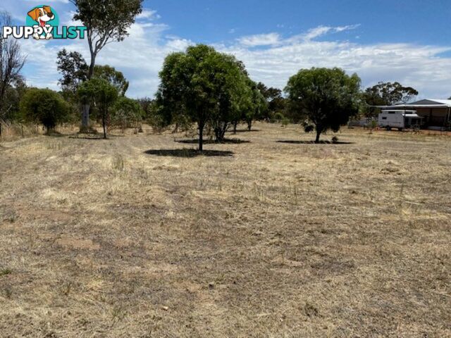 Lot 451 Vincent Street BEVERLEY WA 6304