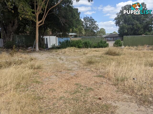 17 Railway Avenue KELMSCOTT WA 6111