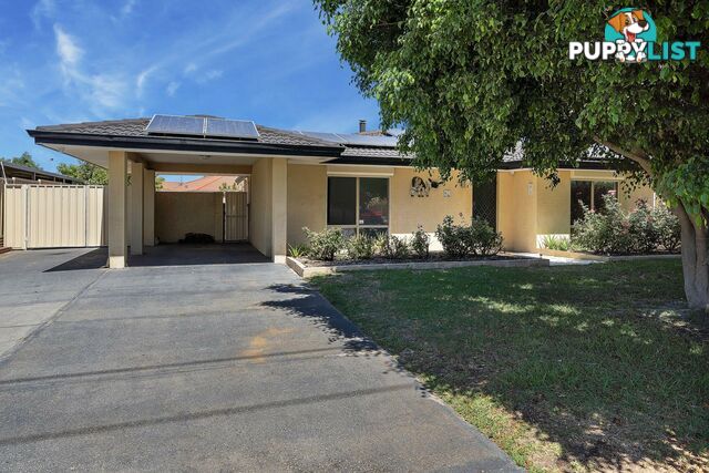 13 Murdoch Road THORNLIE WA 6108