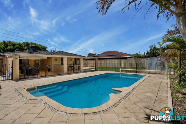 13 Murdoch Road THORNLIE WA 6108