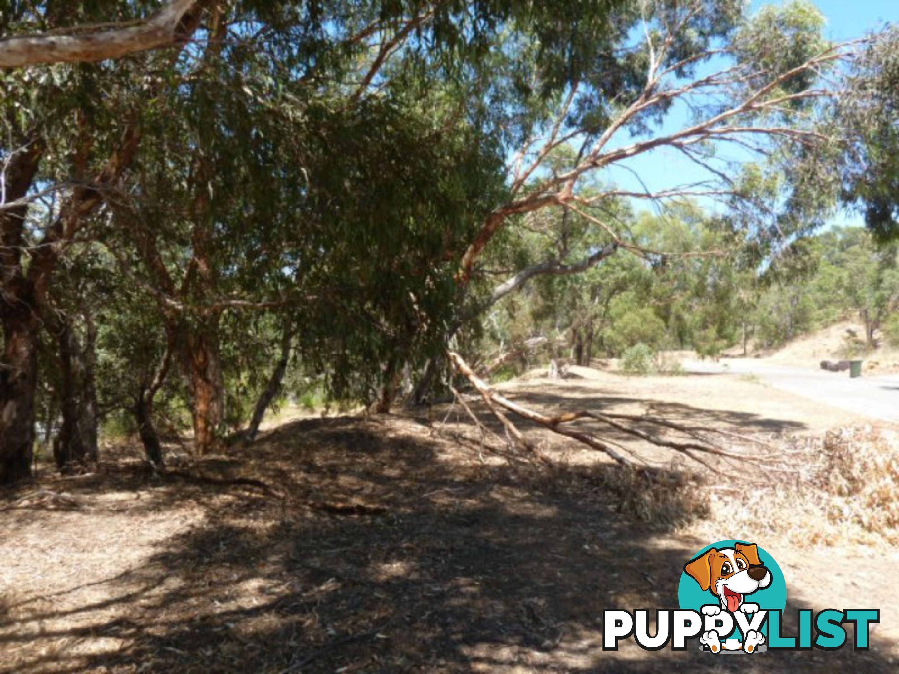 Lot 298 Emerald Place MOUNT RICHON WA 6112