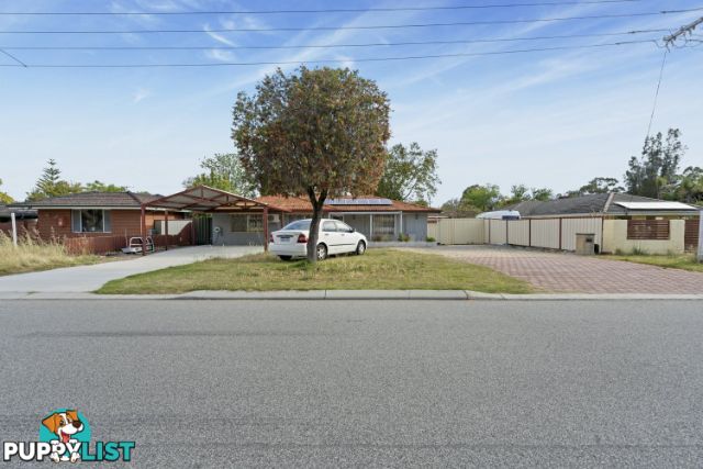 51 Risby Street GOSNELLS WA 6110