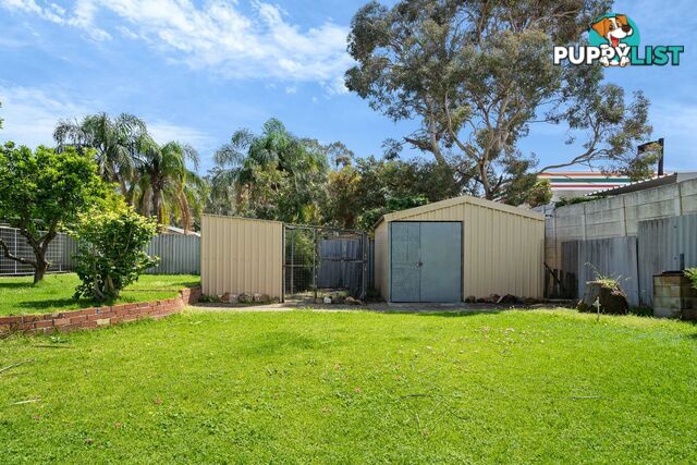 5 Cowan Street MADDINGTON WA 6109