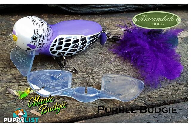 Barambah Manic Budgie purple