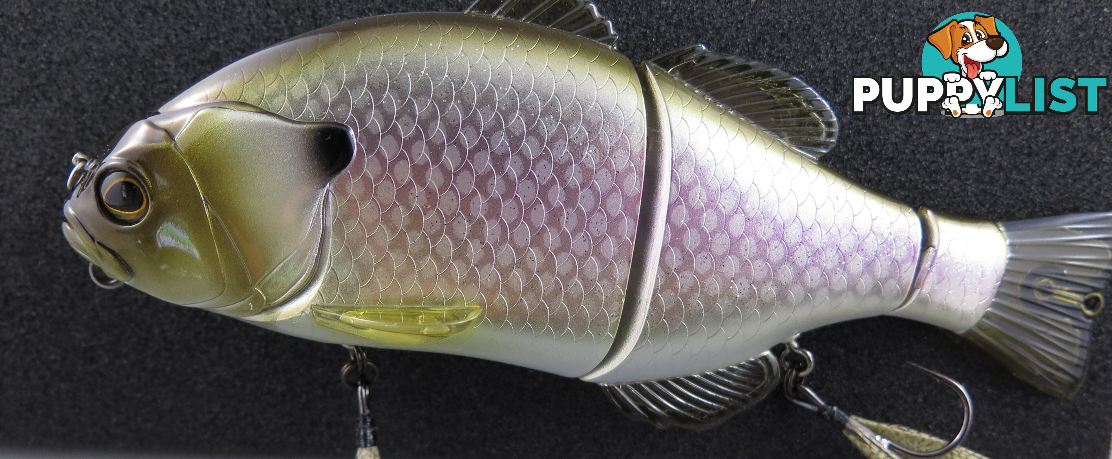 JACKALL CHIBITAREL - Gizzard Shad - IBITAREL