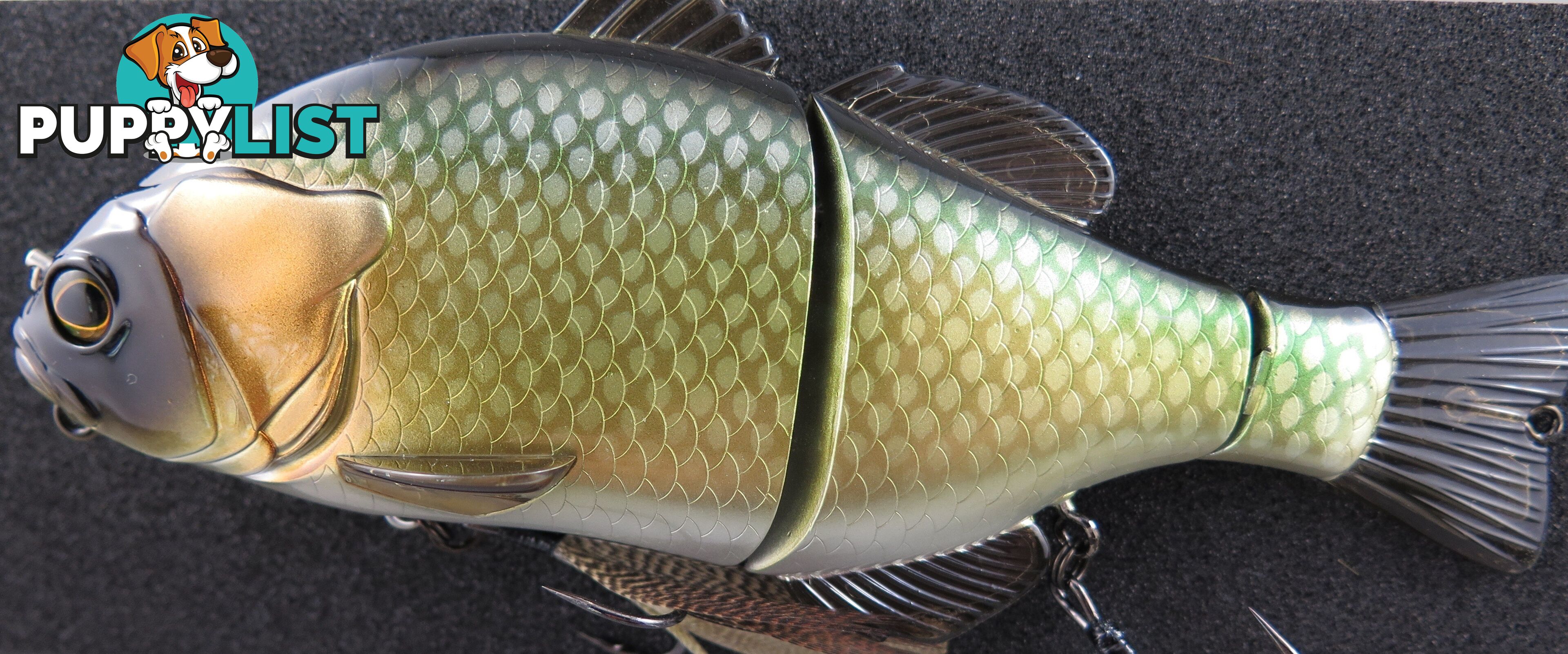 JACKALL GANTAREL SWIM BAIT - Carp - gaNTAREL