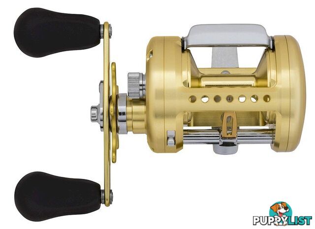 Daiwa Td Luna 300 Reel - 27063