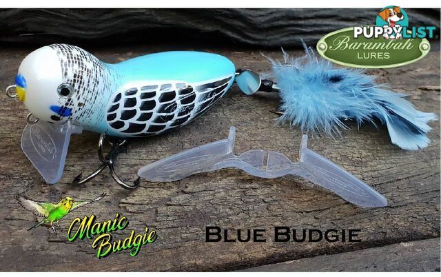 Barambah Manic Budgie Blue