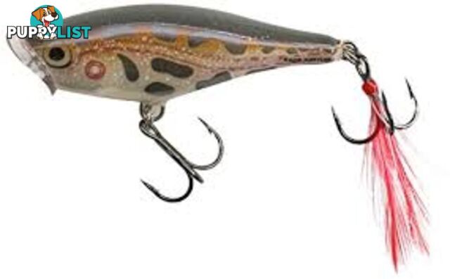 RAPALA SKITTER POP - RAPALA SP09F