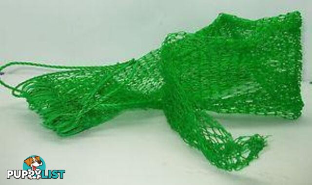 SEAHORSE KEEP POLY GREEN 2" - SEAHORSE KN2