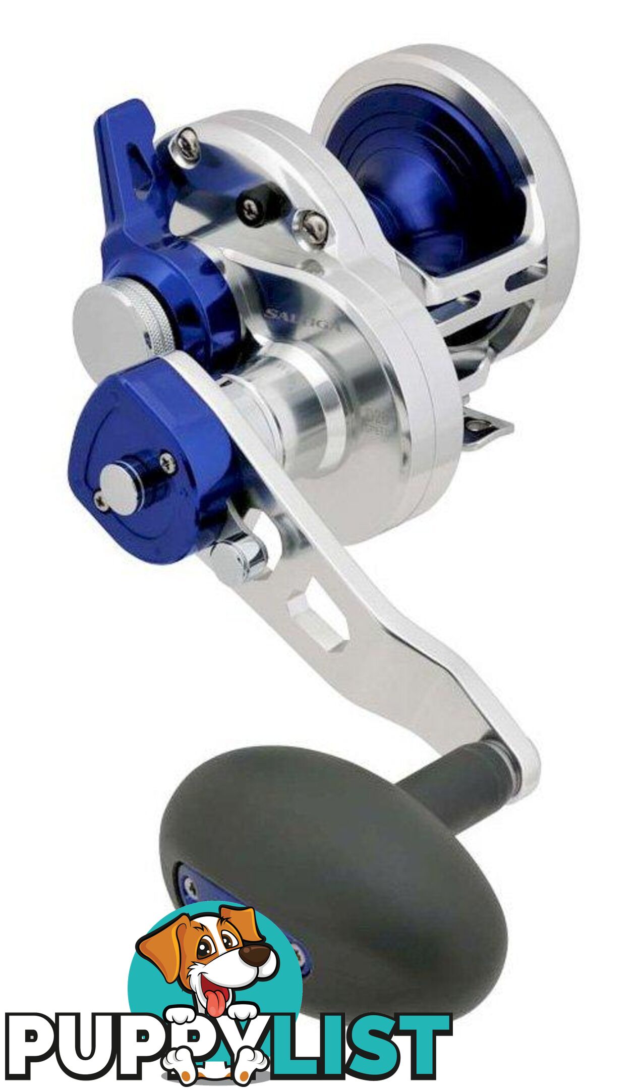 Daiwa Saltiga Ld35-2Speed Reel - 26112