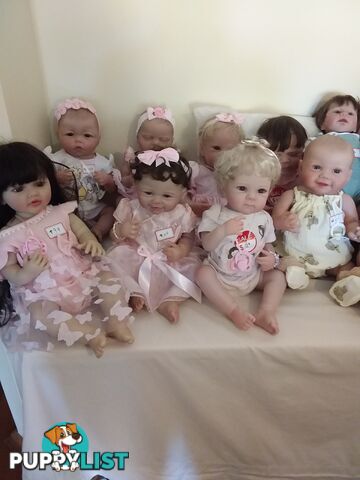 Reborn DOLLS for girls aged 3 to 12.   From $65  LAYBY and POSTAGE okay