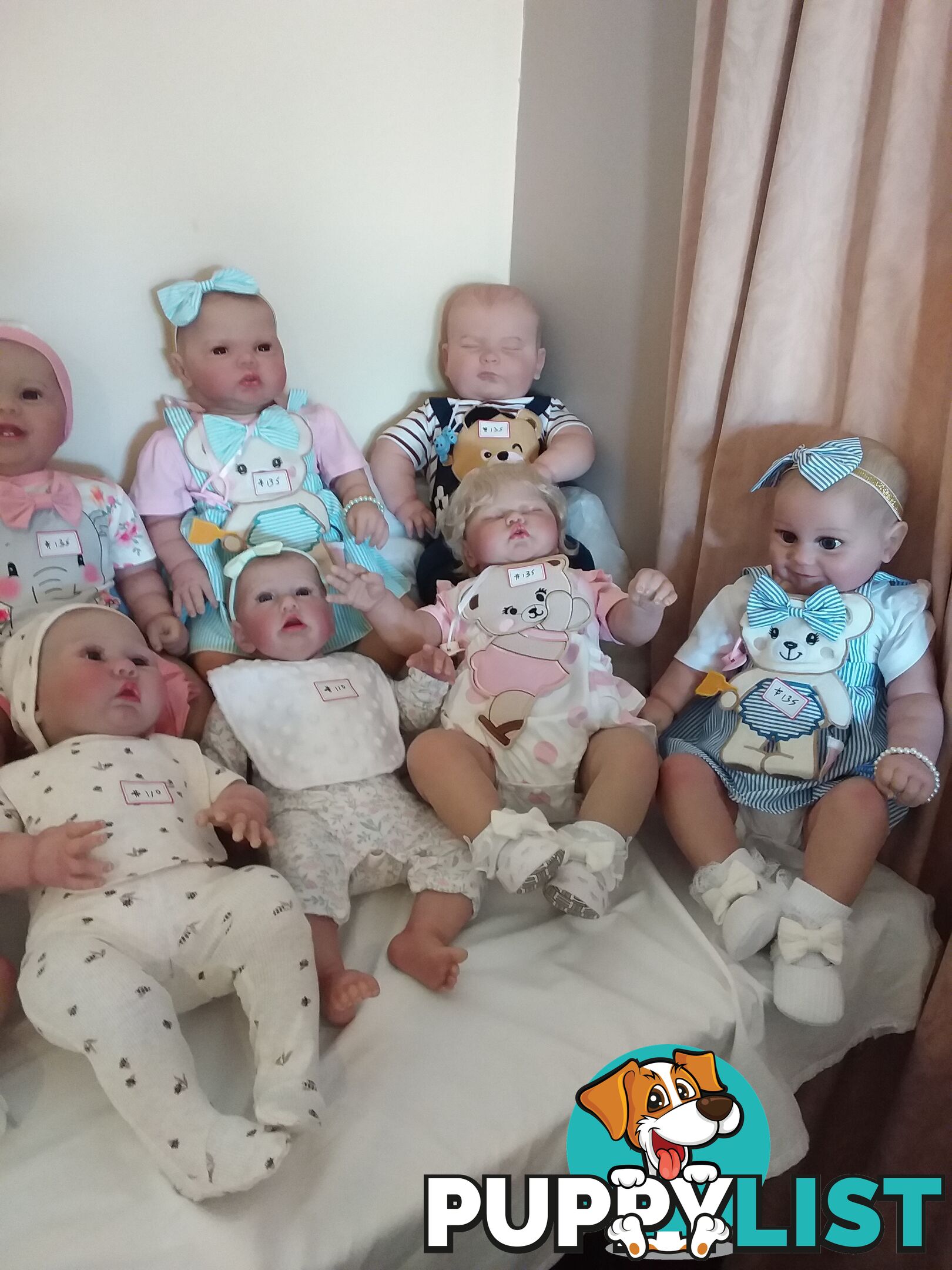 Reborn DOLLS for girls aged 3 to 12.   From $65  LAYBY and POSTAGE okay