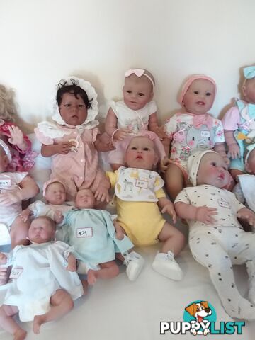 Reborn DOLLS for girls aged 3 to 12.   From $65  LAYBY and POSTAGE okay