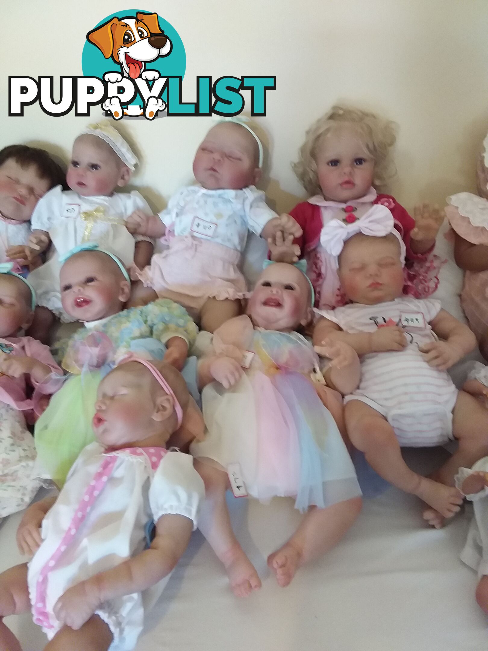 Reborn DOLLS for girls aged 3 to 12.   From $65  LAYBY and POSTAGE okay