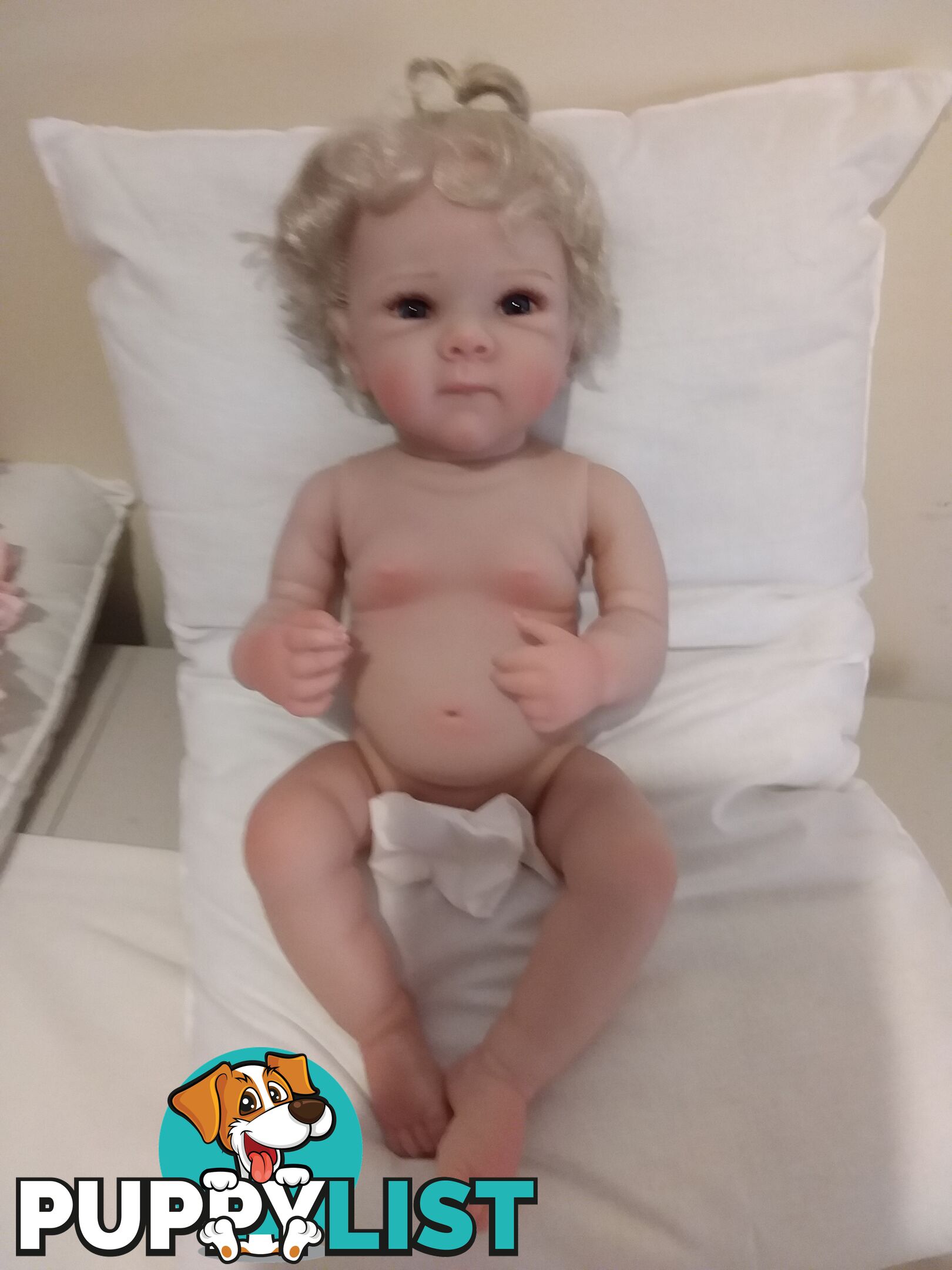 Reborn DOLLS for girls aged 3 to 12.   From $65  LAYBY and POSTAGE okay