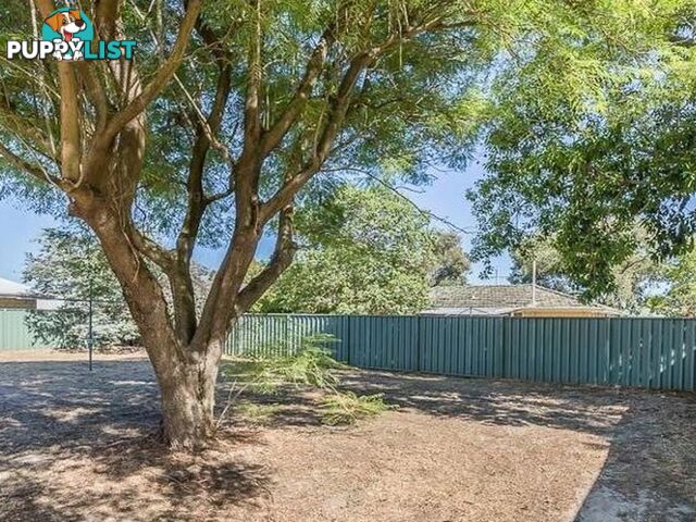 9 Cabarita Road ARMADALE WA 6112