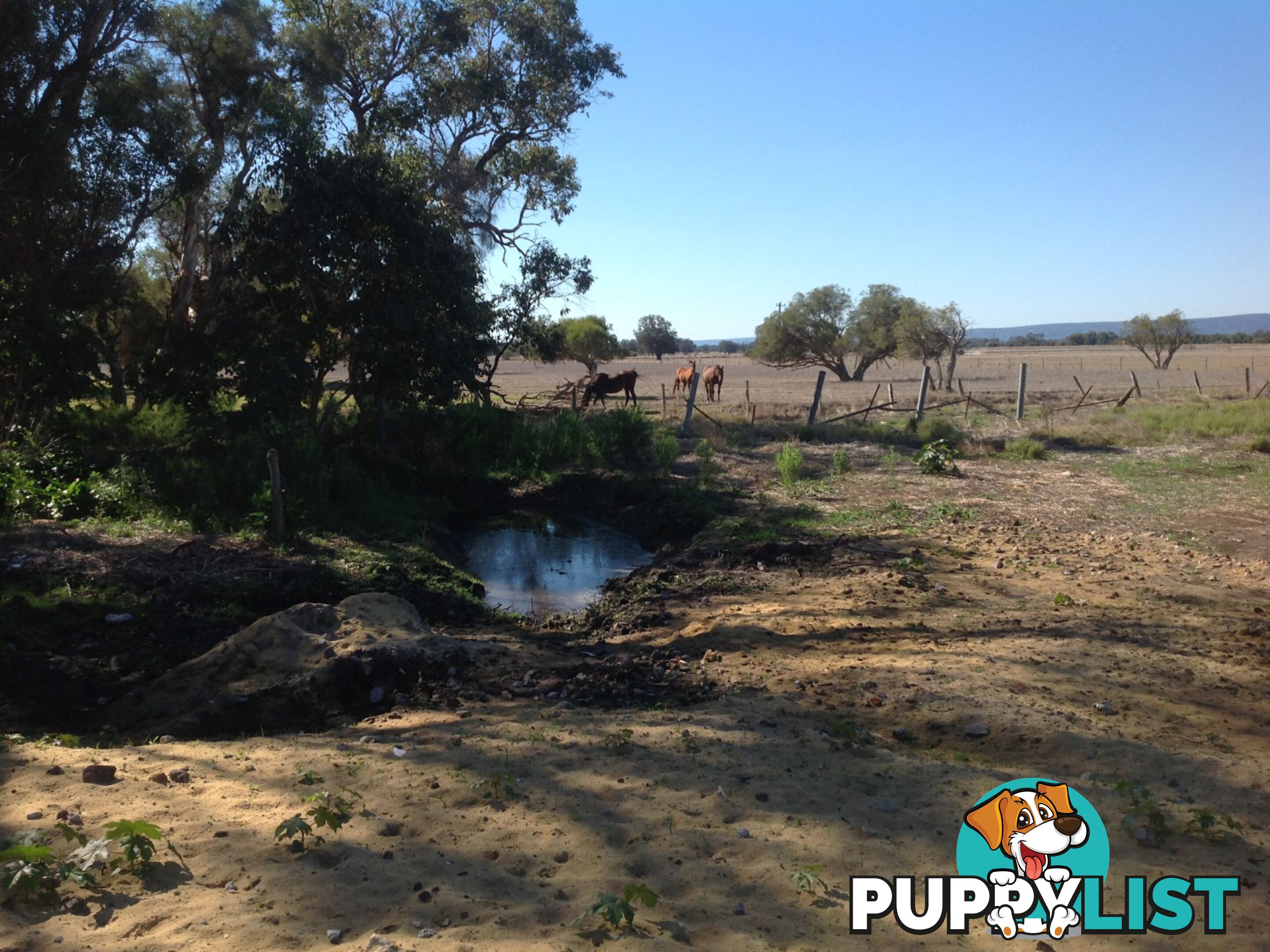 LOT 10 Gossage Road OLDBURY WA 6121