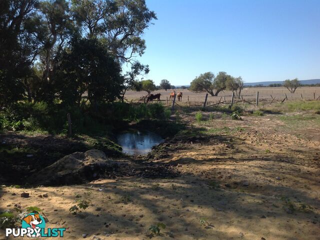 LOT 10 Gossage Road OLDBURY WA 6121